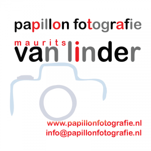 FB-Profile-Papillon-Logo